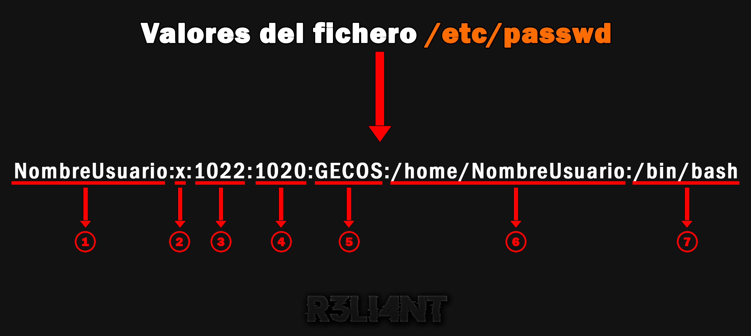 Ilustración del procedimiento